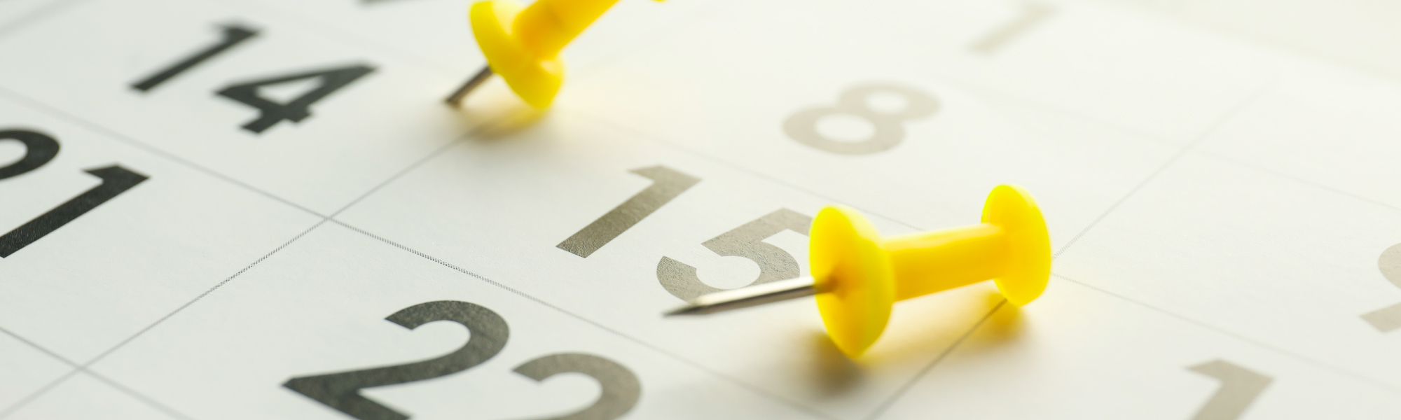 News Image Payroll Calandar